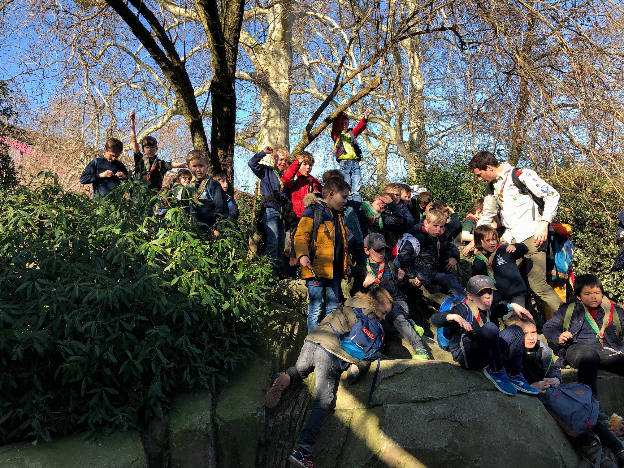 Sint-Martinus den XIIde - Zoo Antwerpen Kapoenen